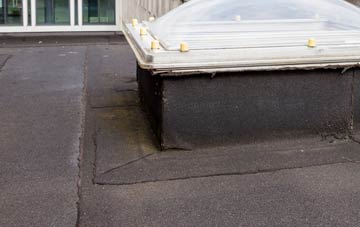 disadvantages of Martin Moor flat roofs