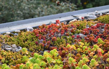 the cost of Martin Moor green roof installation