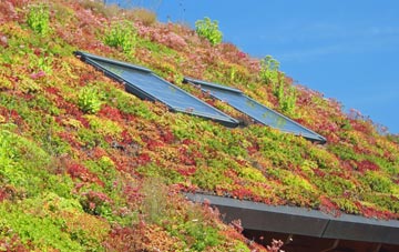 Martin Moor living roof systems